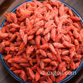 Goji berry organik kering wolfberries pembelian online